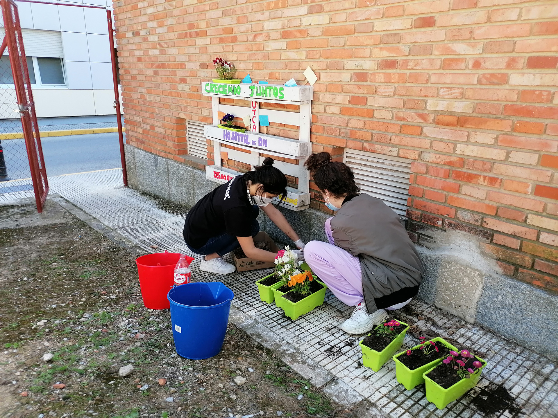 Sembrando Sostenibilidad Ambiental en el Hospital de Día Juvenil de Nuestra Señora del Perpetuo Socorro de Albacete
